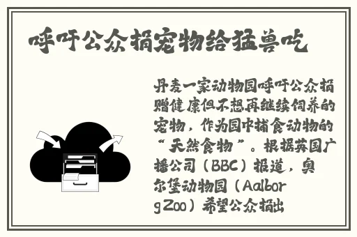 沈阳45老阿姨叫的巅峰